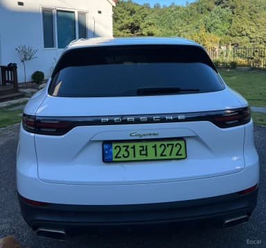 Cayenne (PO536)