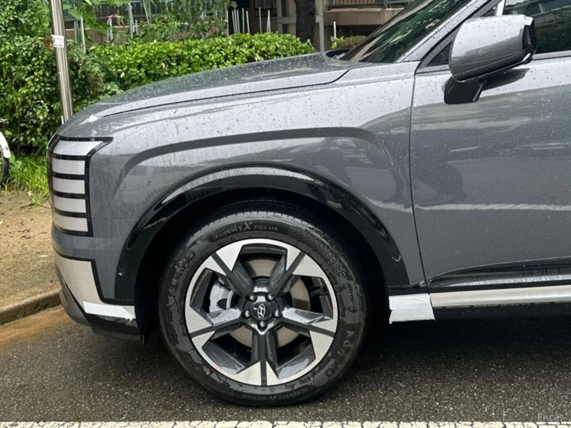 Palisade (LX3)