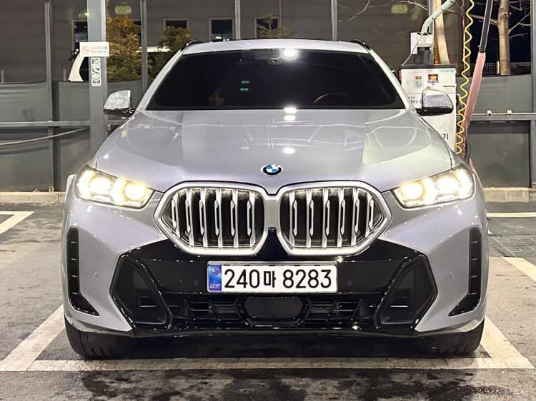 X6 (G06)