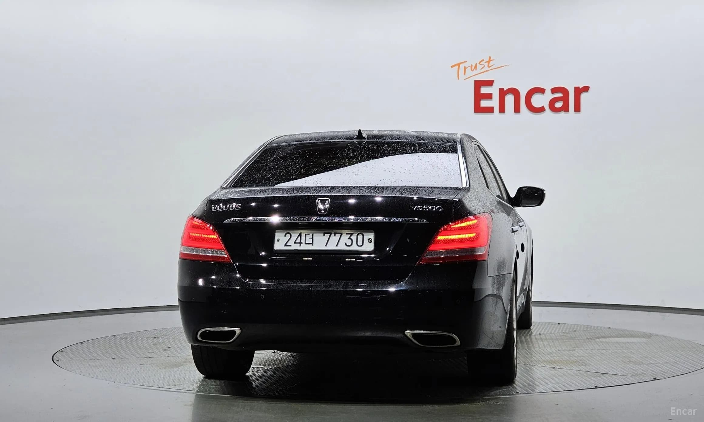 Equus (new)