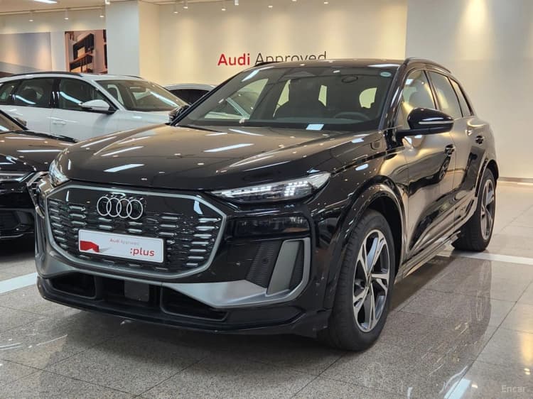 Q6 e-tron (GF)
