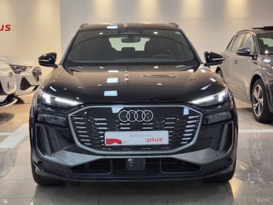 Q6 e-tron (GF)