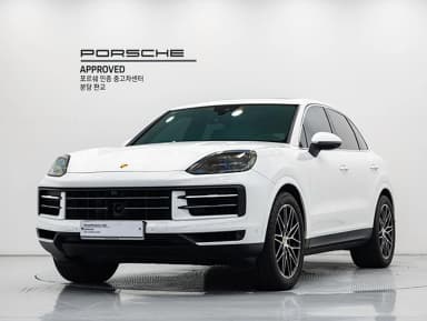 Cayenne (PO536)