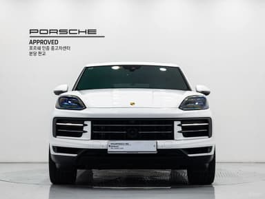 Cayenne (PO536)