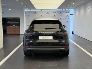 Cayenne (PO536)