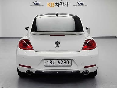 The Beetle