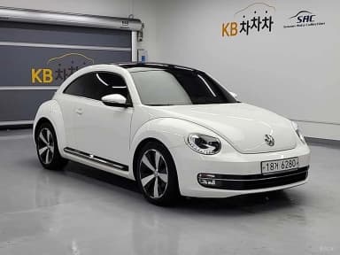 The Beetle