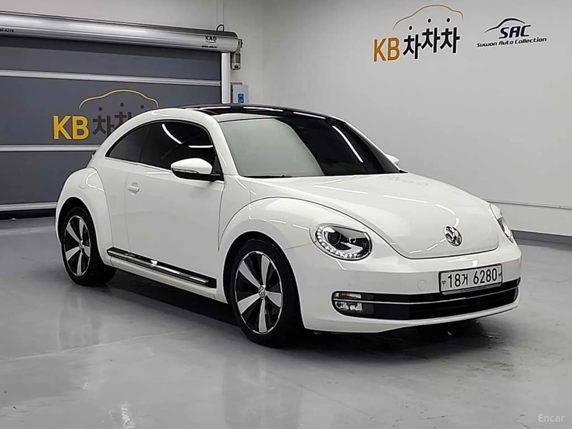 The Beetle