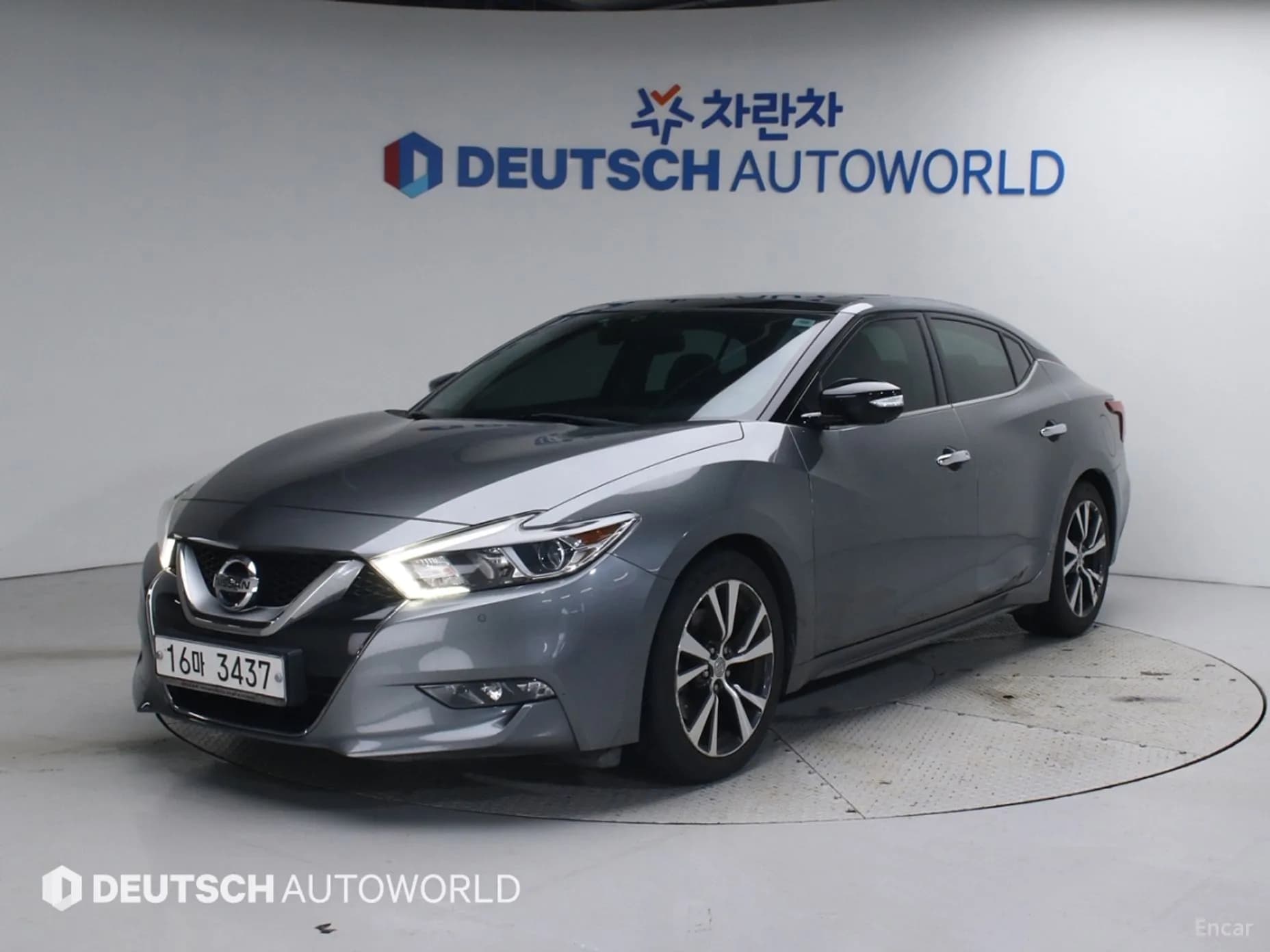 Maxima (A36)