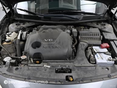 Maxima (A36)