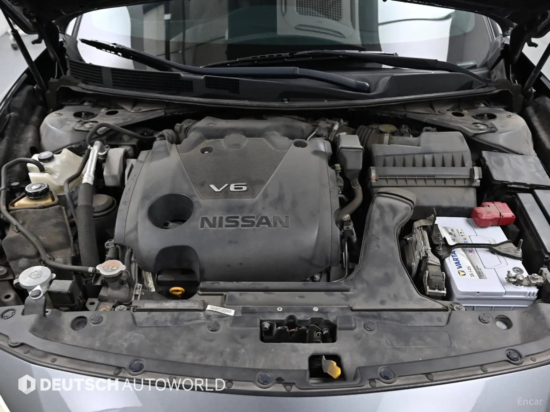 Maxima (A36)