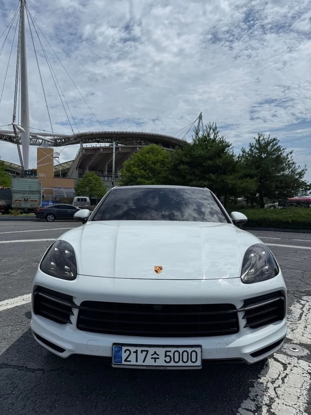 Cayenne (PO536)