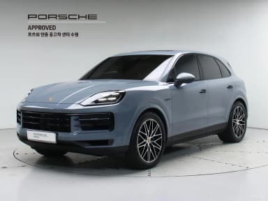 Cayenne (PO536)
