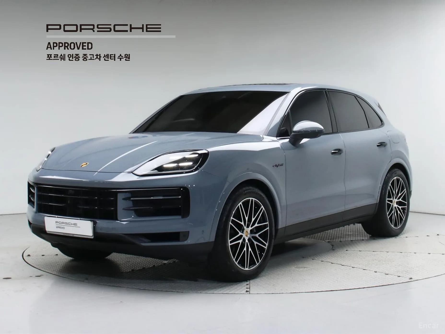Cayenne (PO536)
