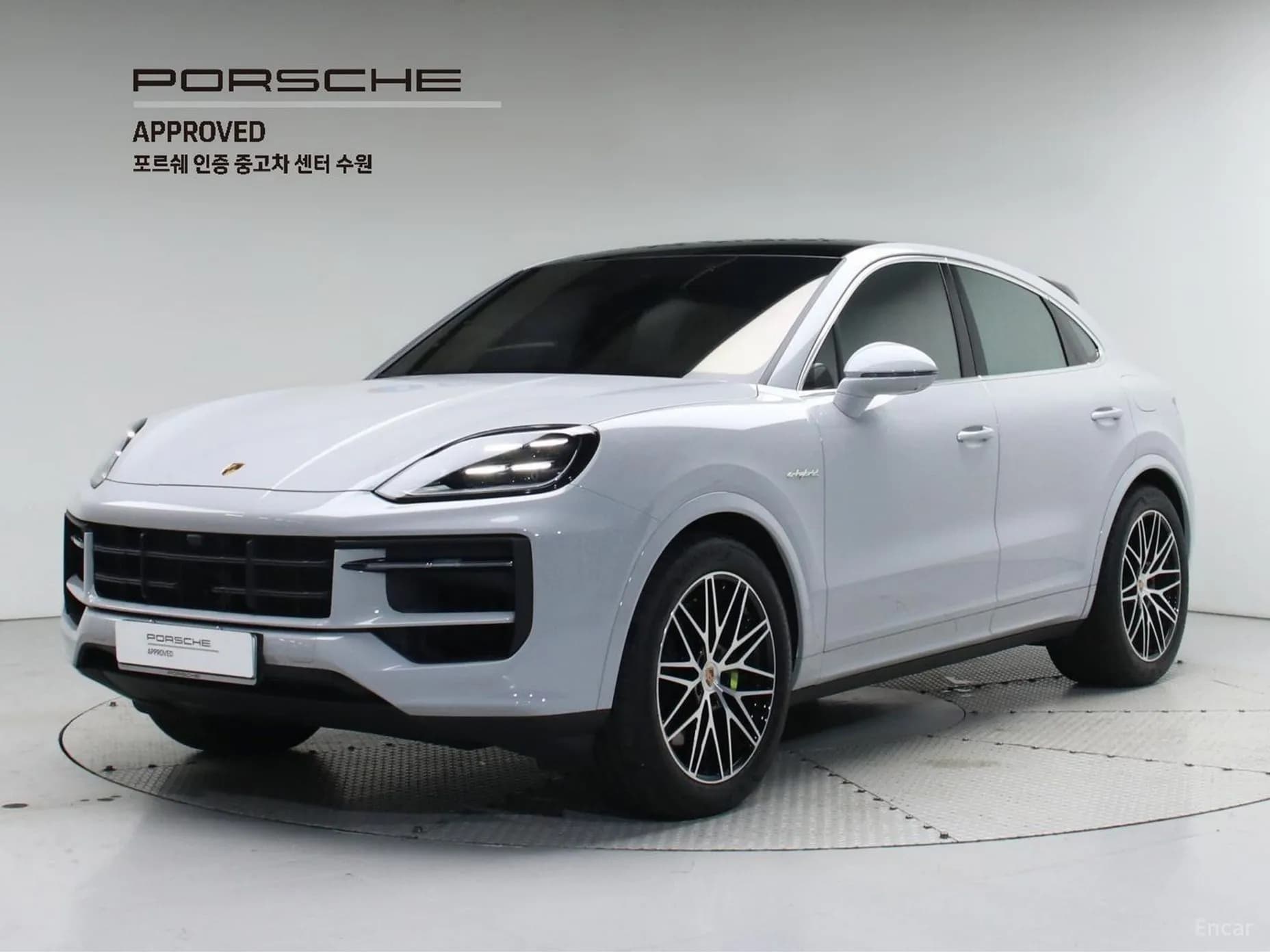 Cayenne (PO536)