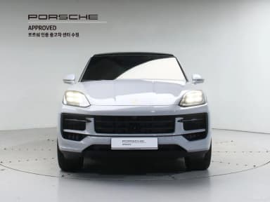 Cayenne (PO536)