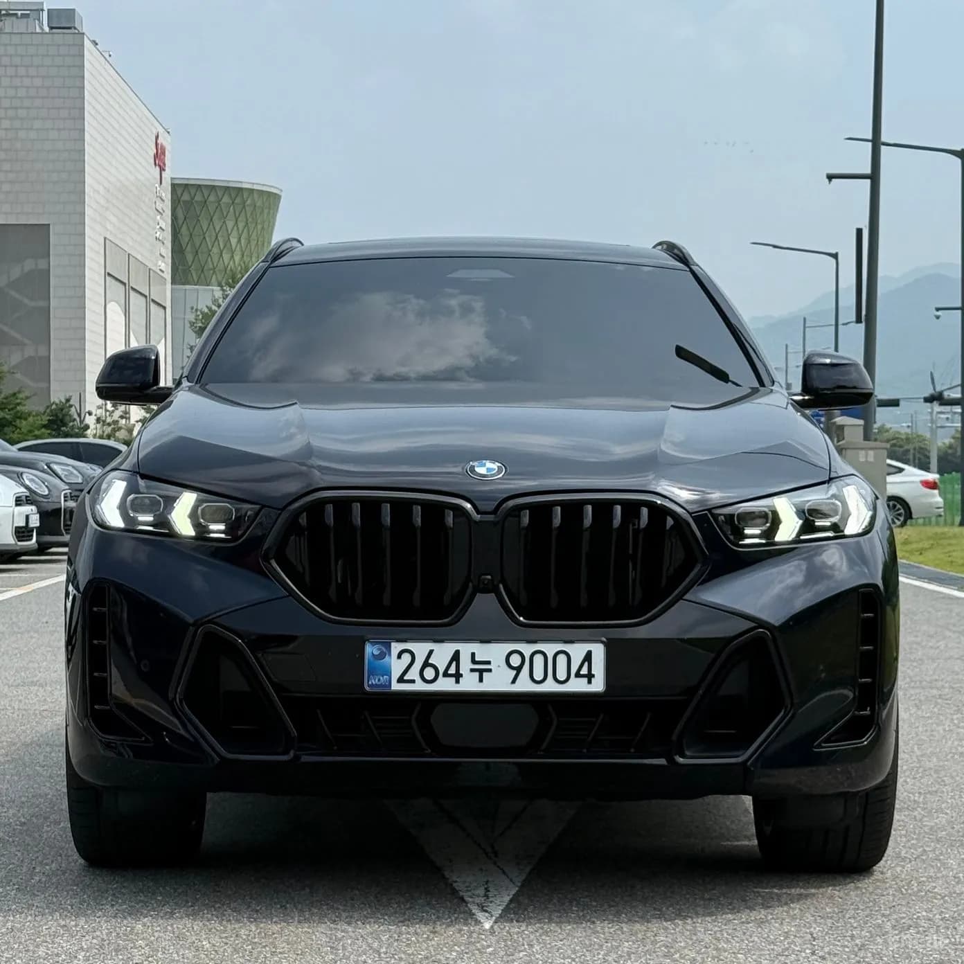 X6 (G06)