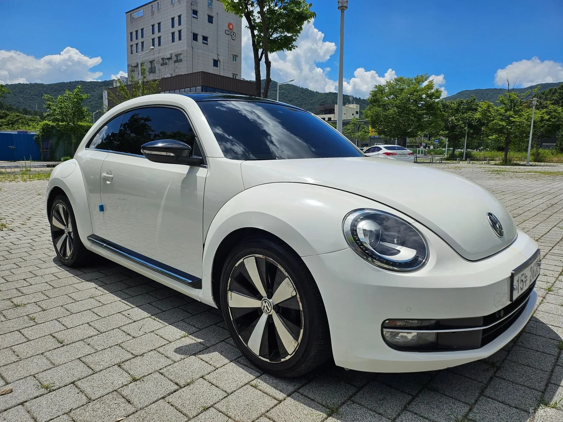 The Beetle