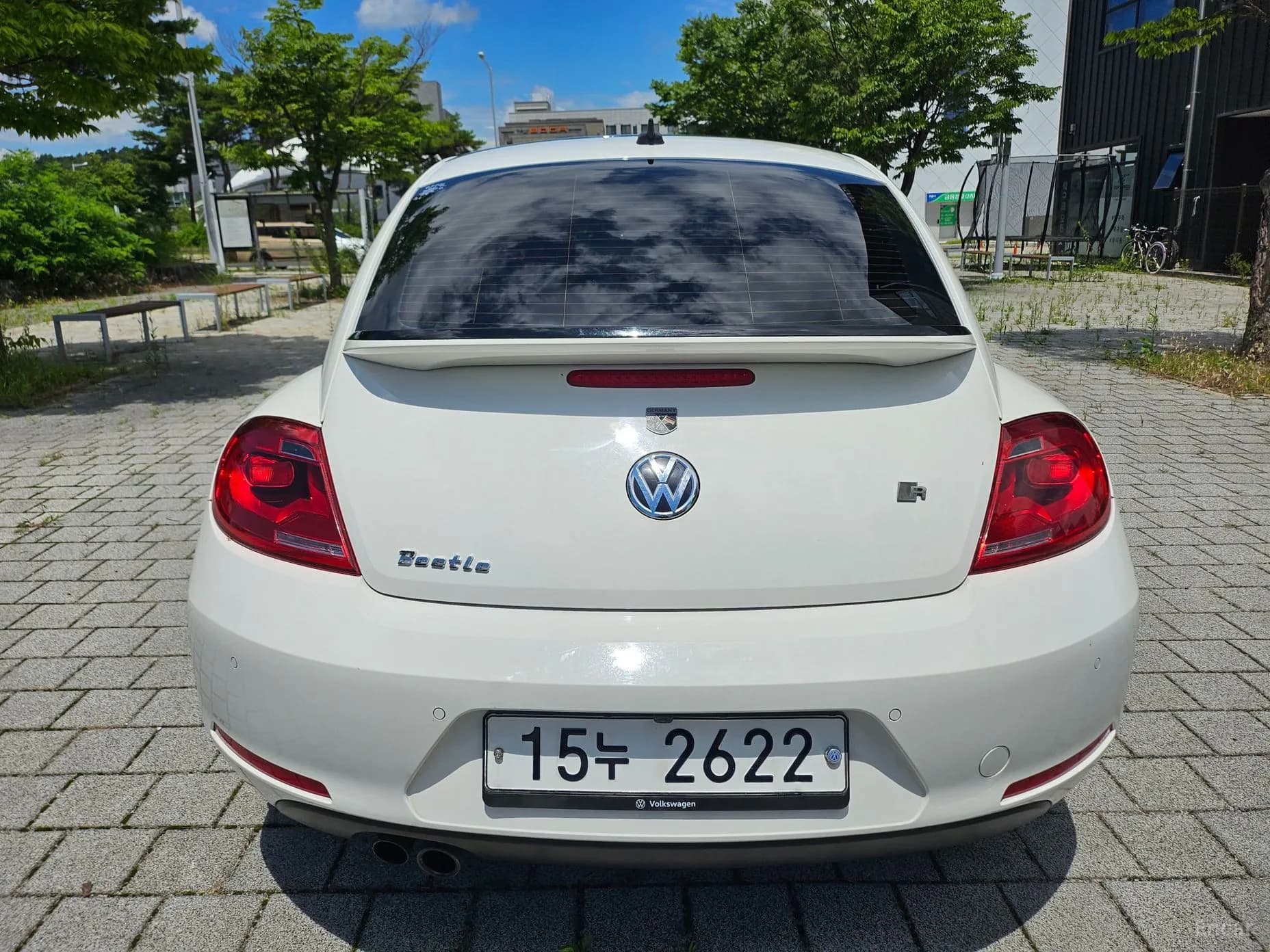 The Beetle