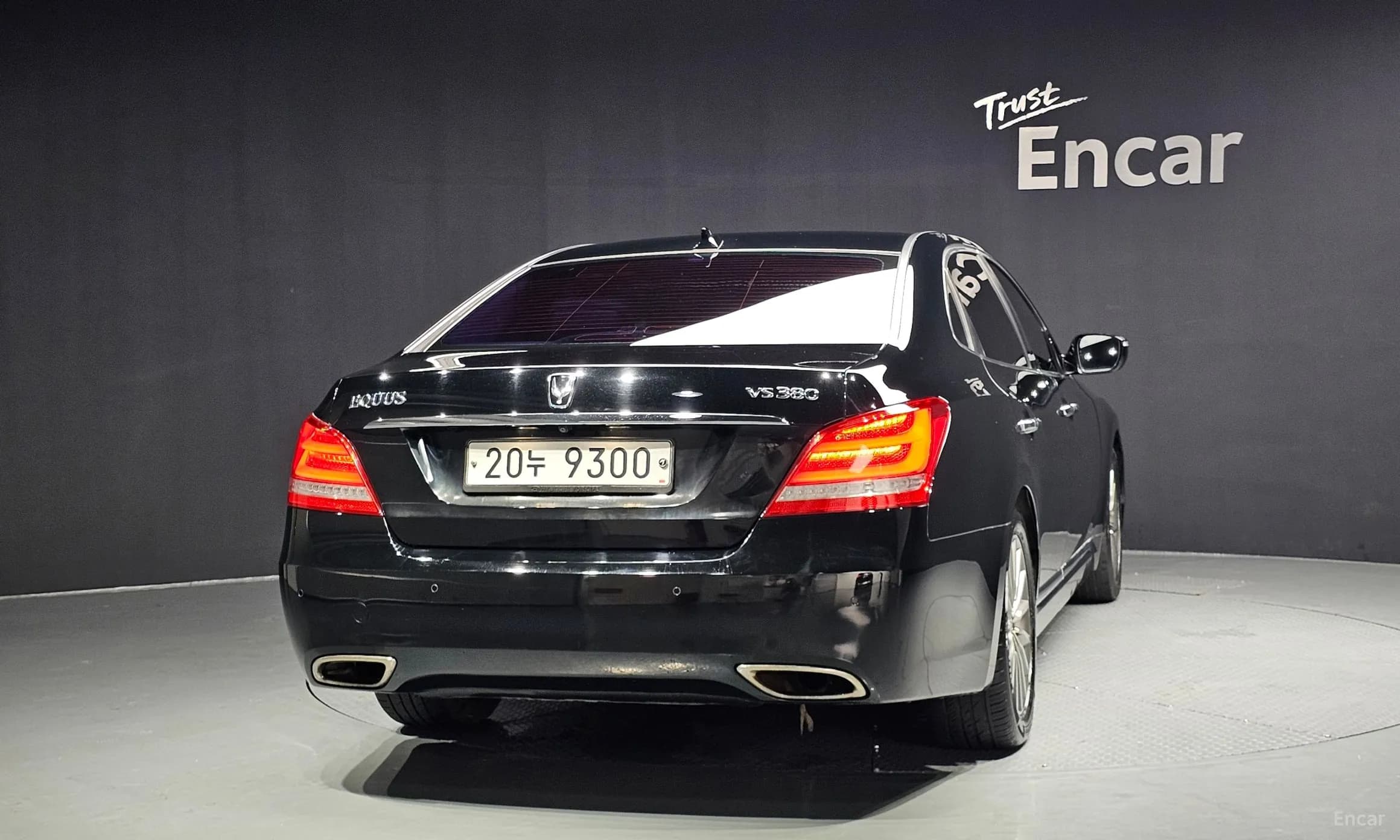 Equus (new)