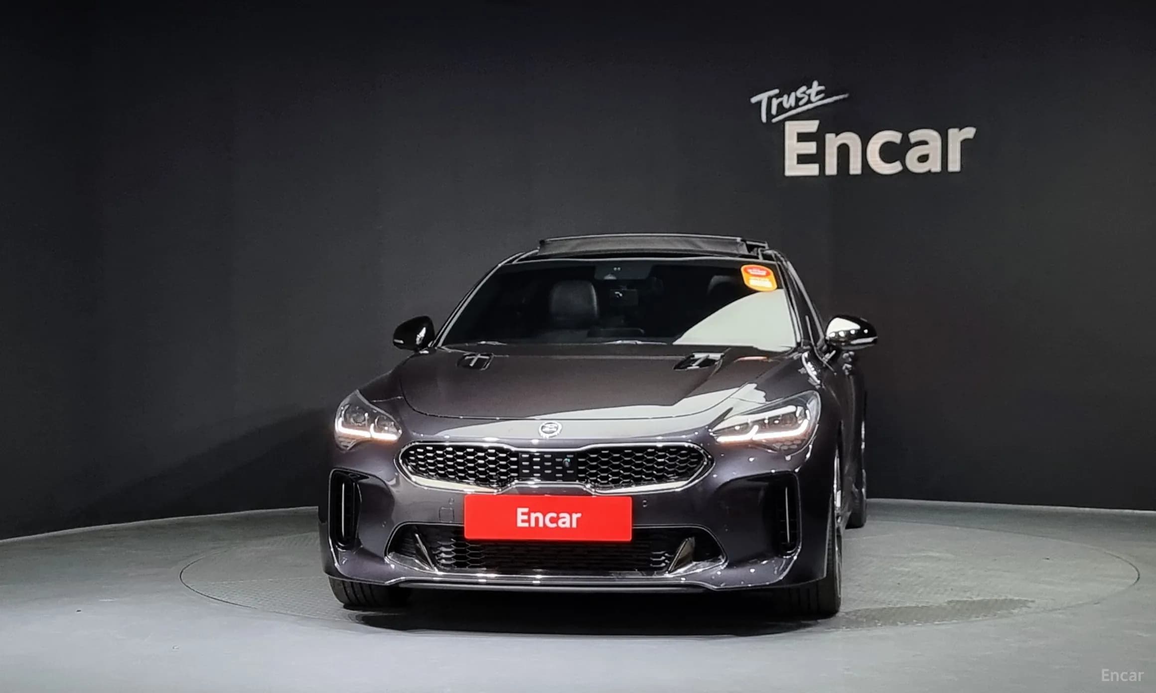 Stinger