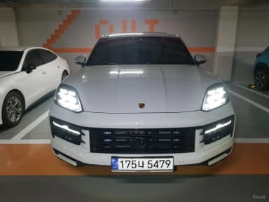 Cayenne (PO536)