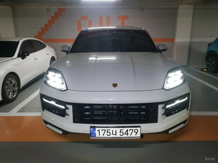 Cayenne (PO536)