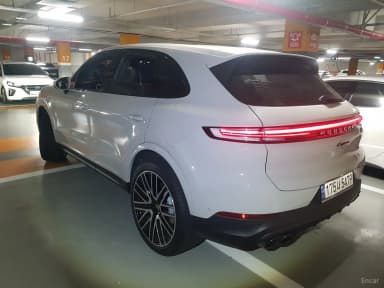 Cayenne (PO536)