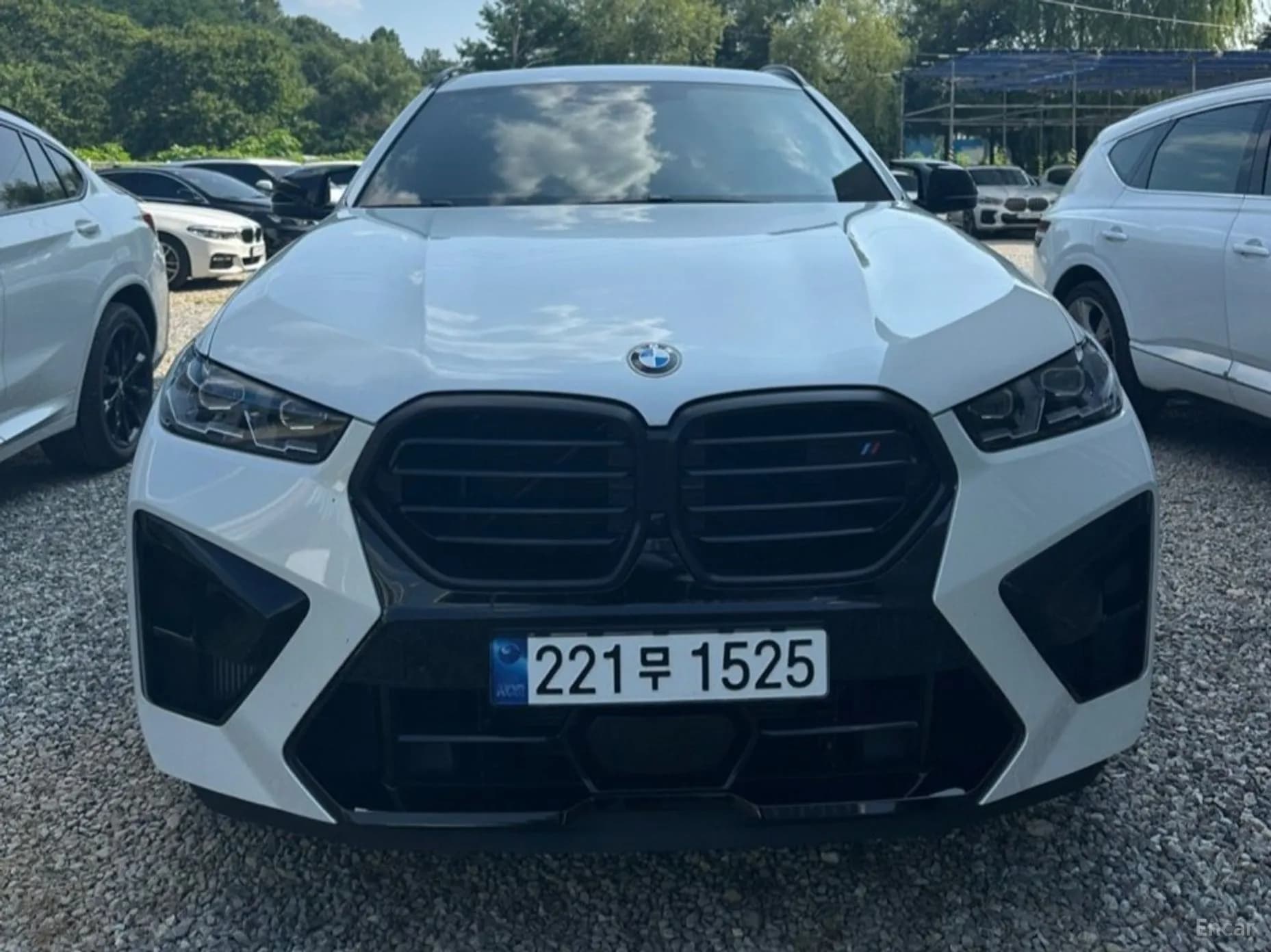 X6M (G06)