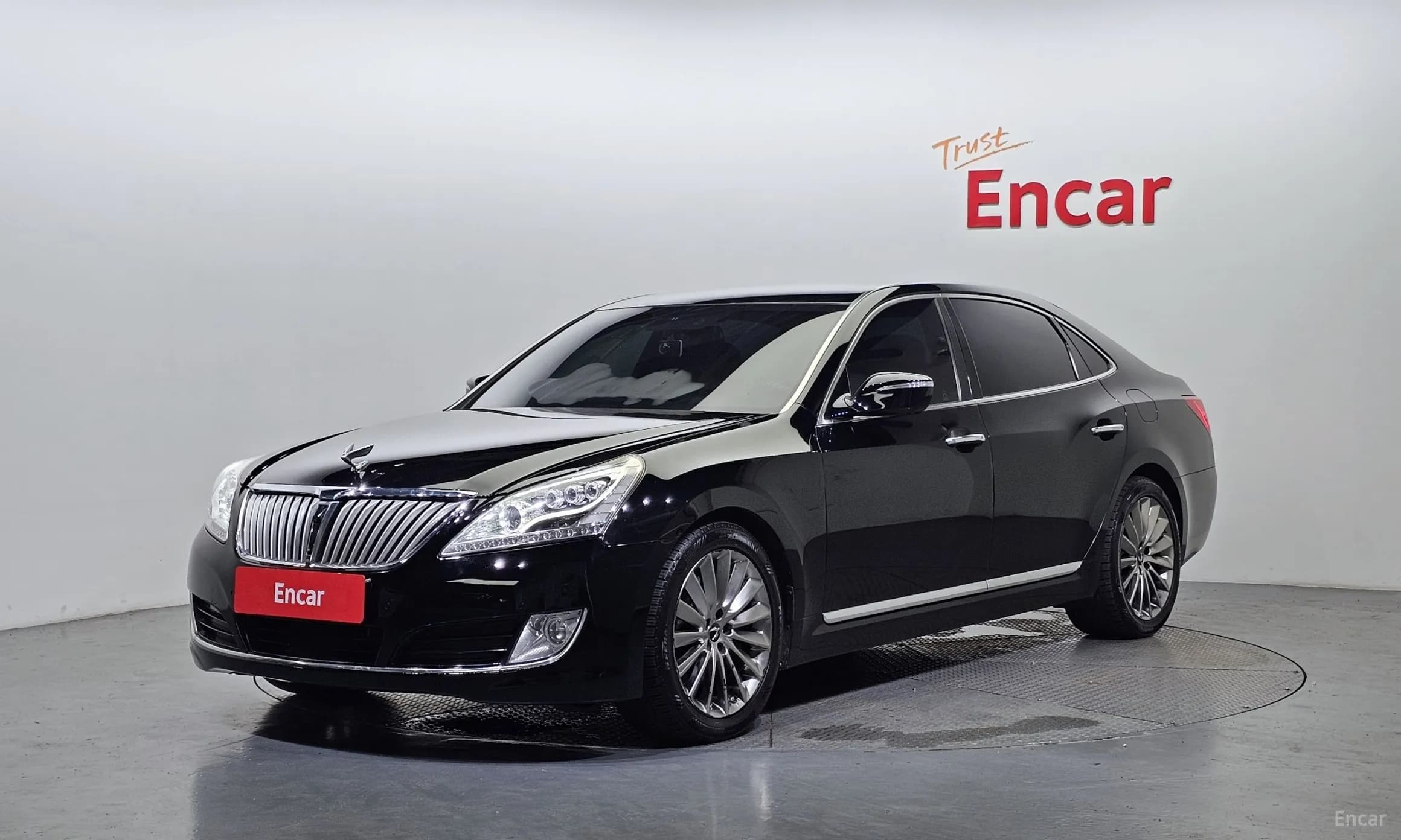 Equus (new)
