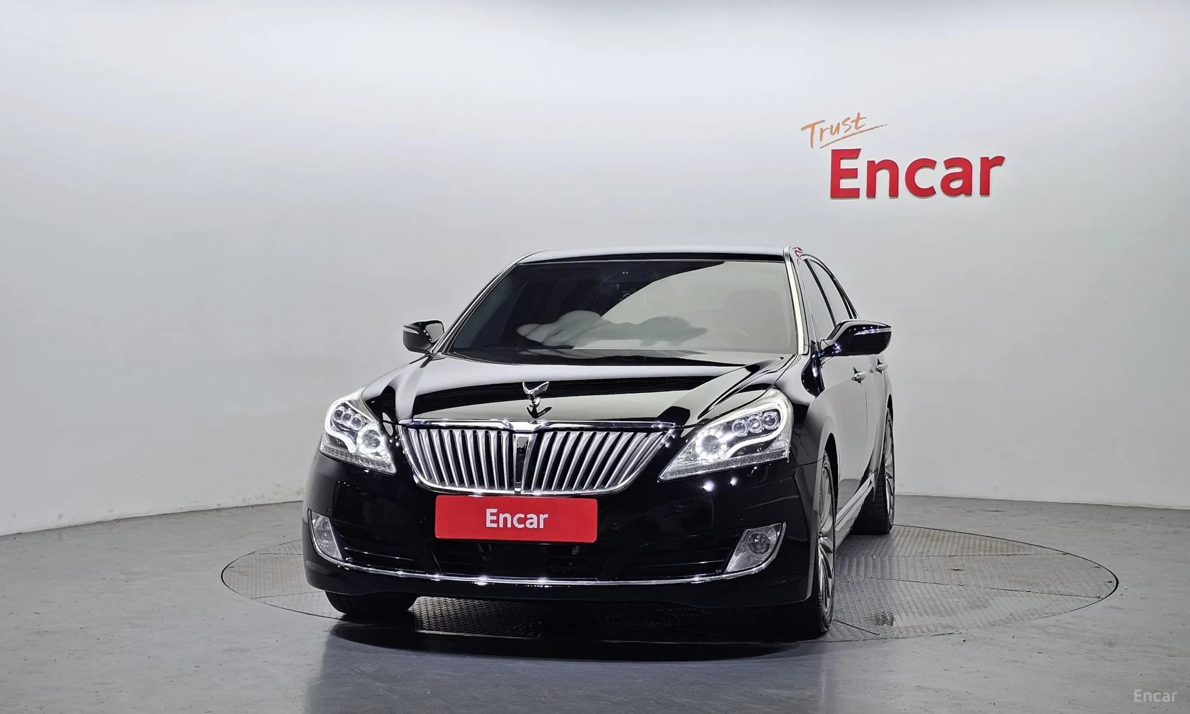 Equus (new)
