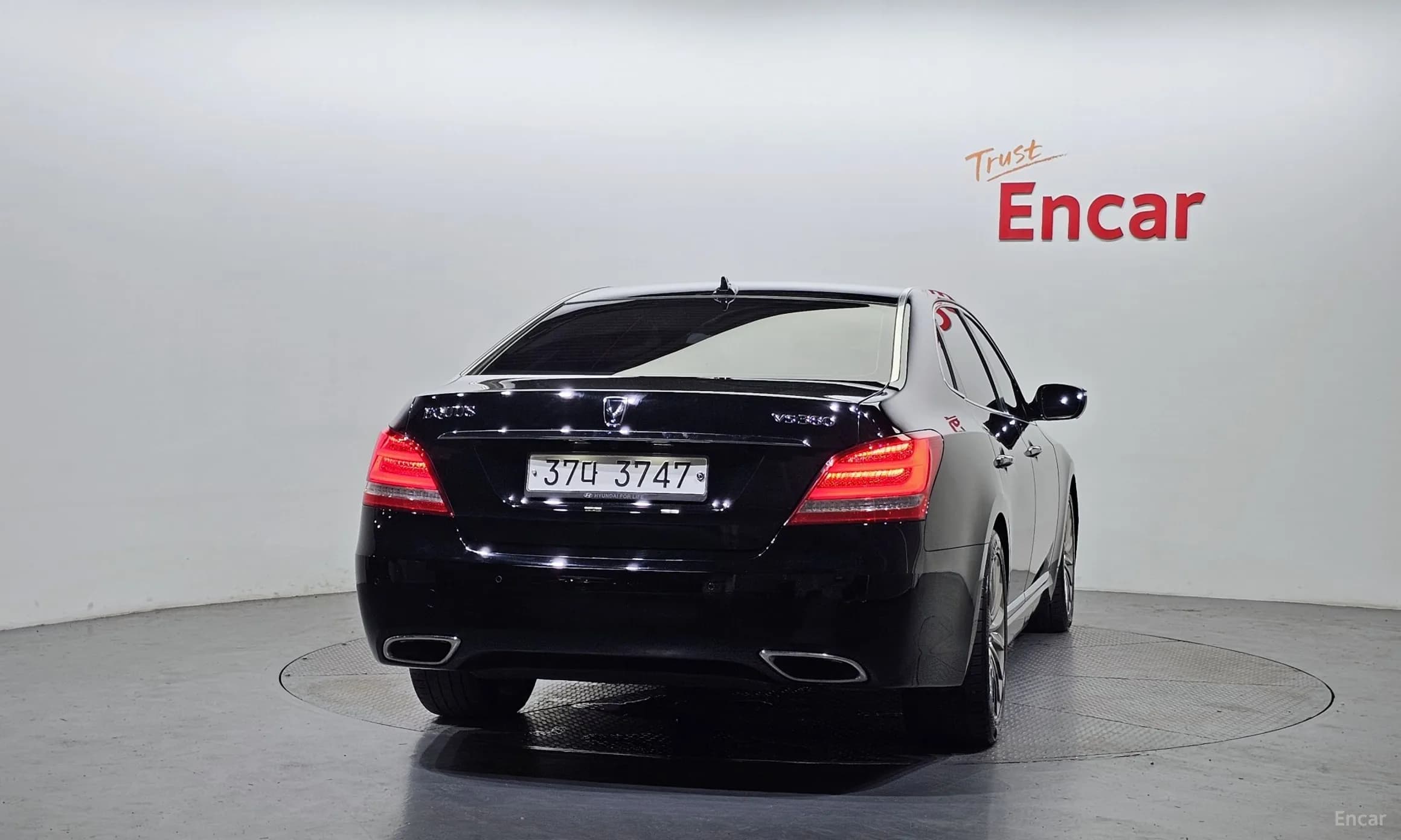 Equus (new)