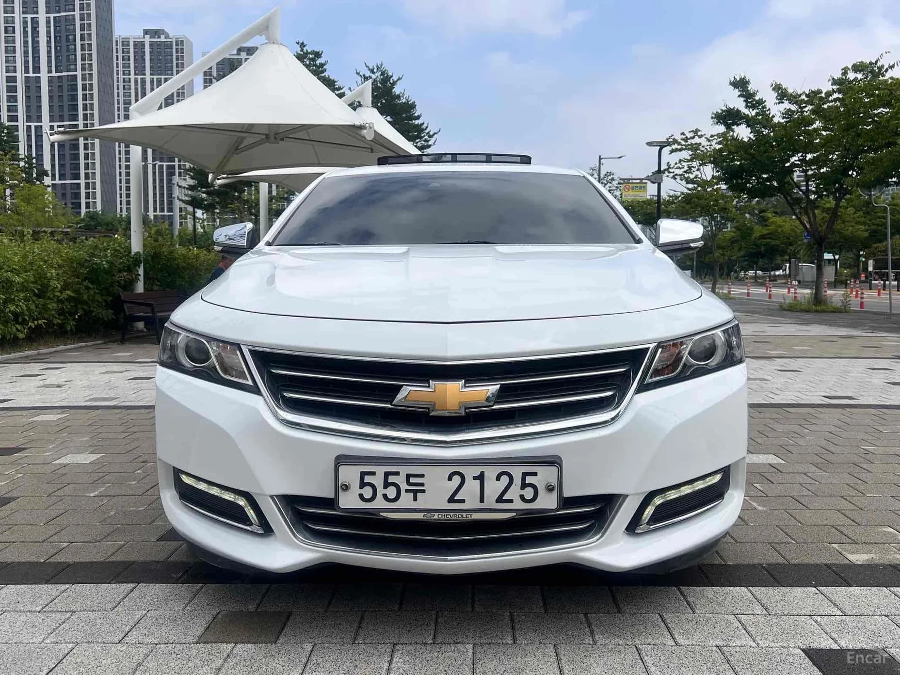 Impala