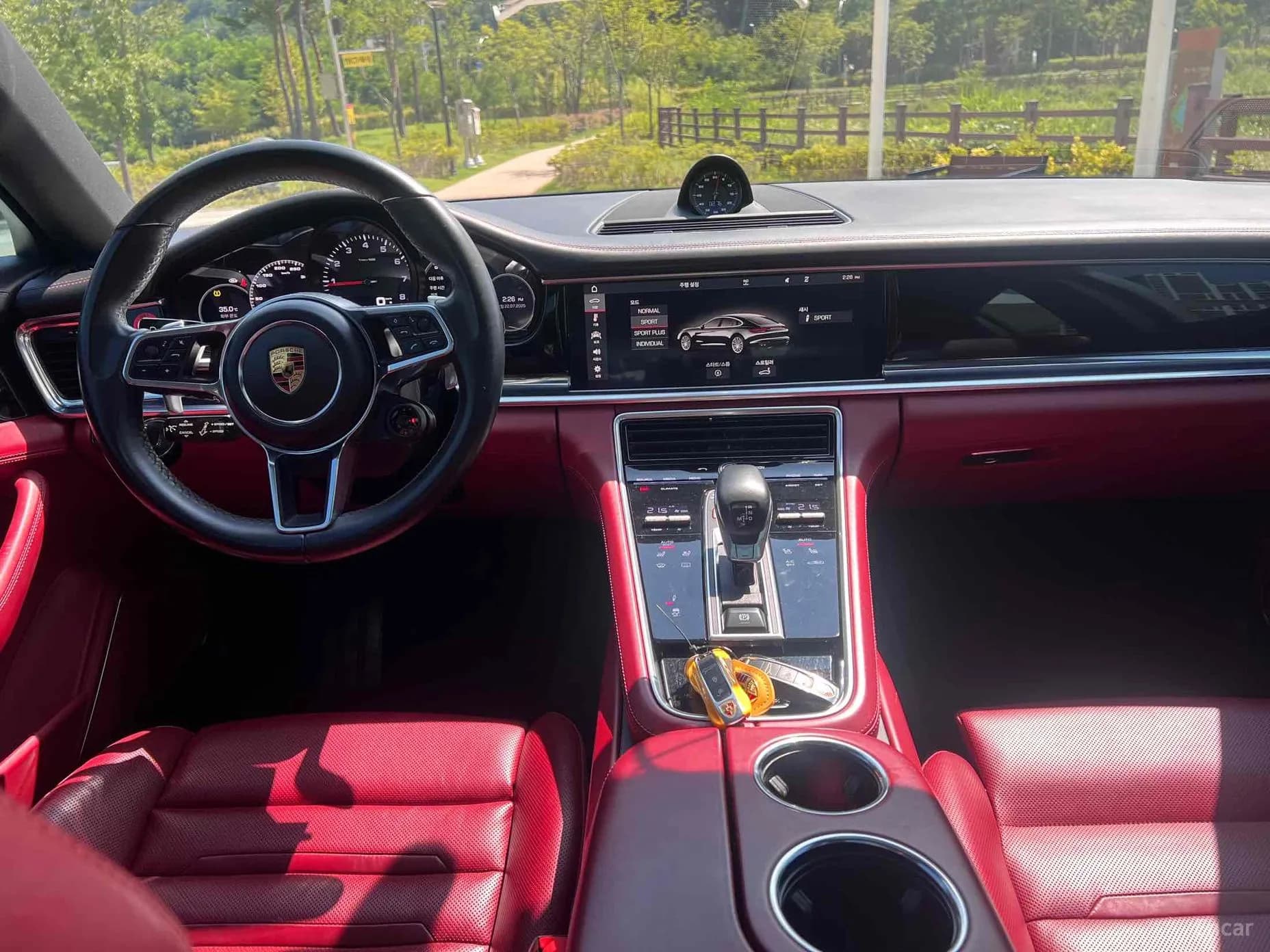 Panamera (971)