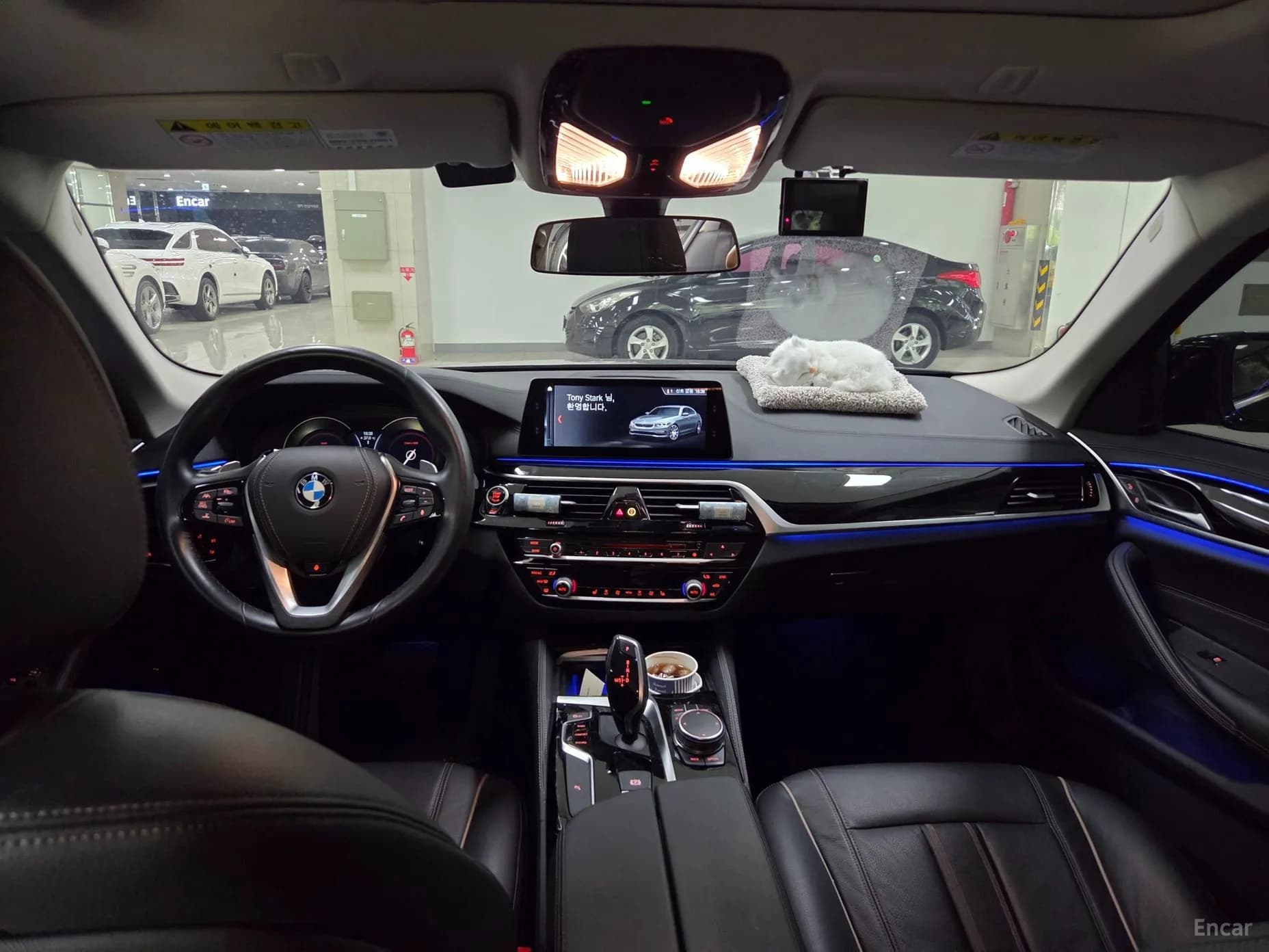 5 Series (G30)