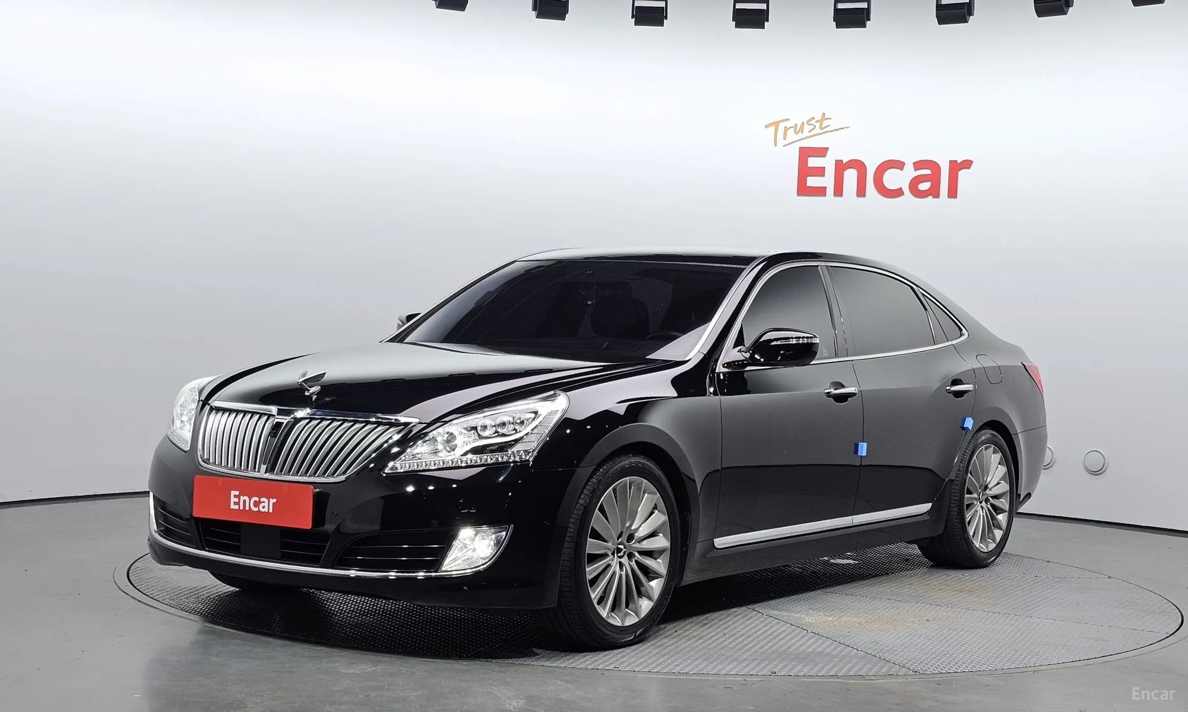 Equus (new)