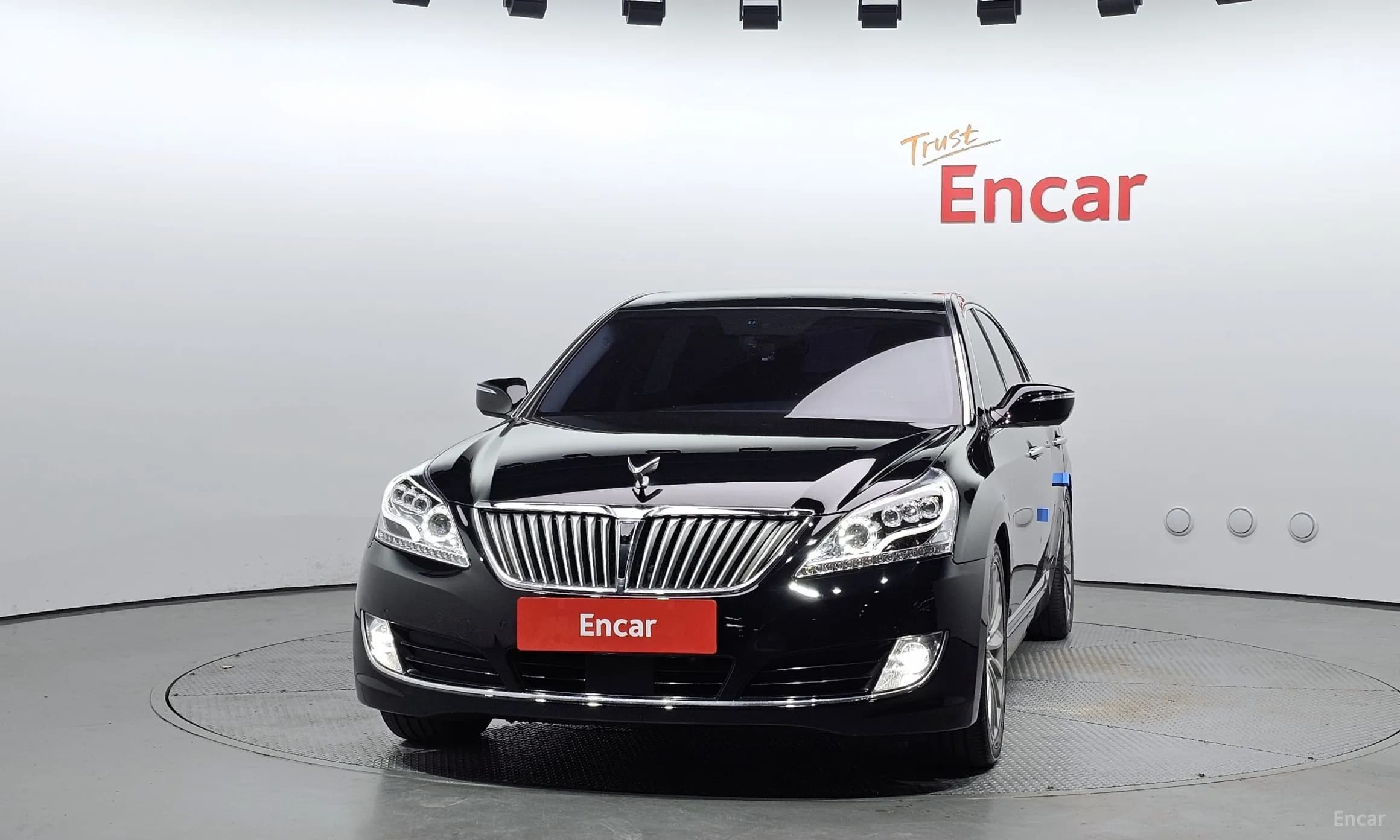 Equus (new)