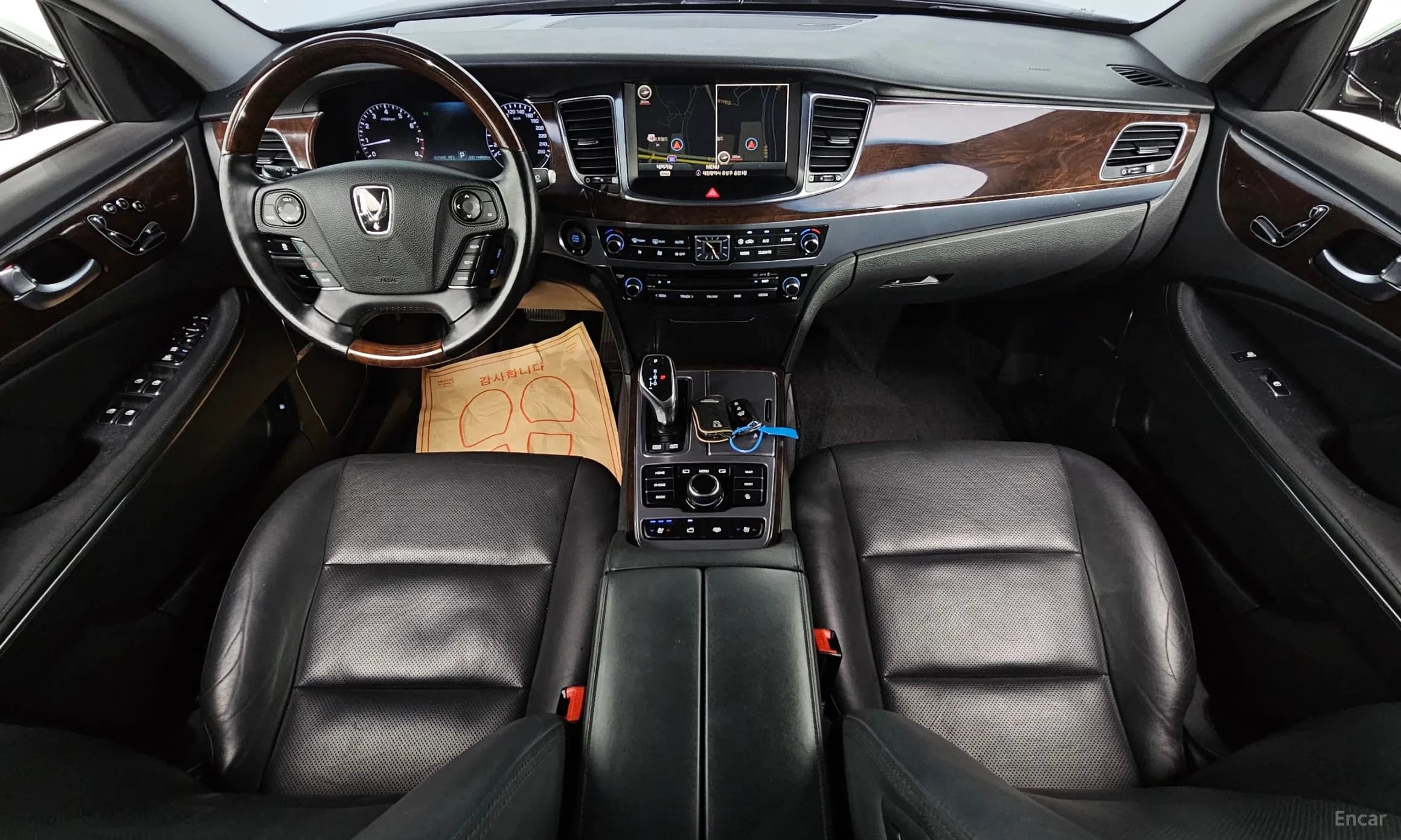 Equus (new)