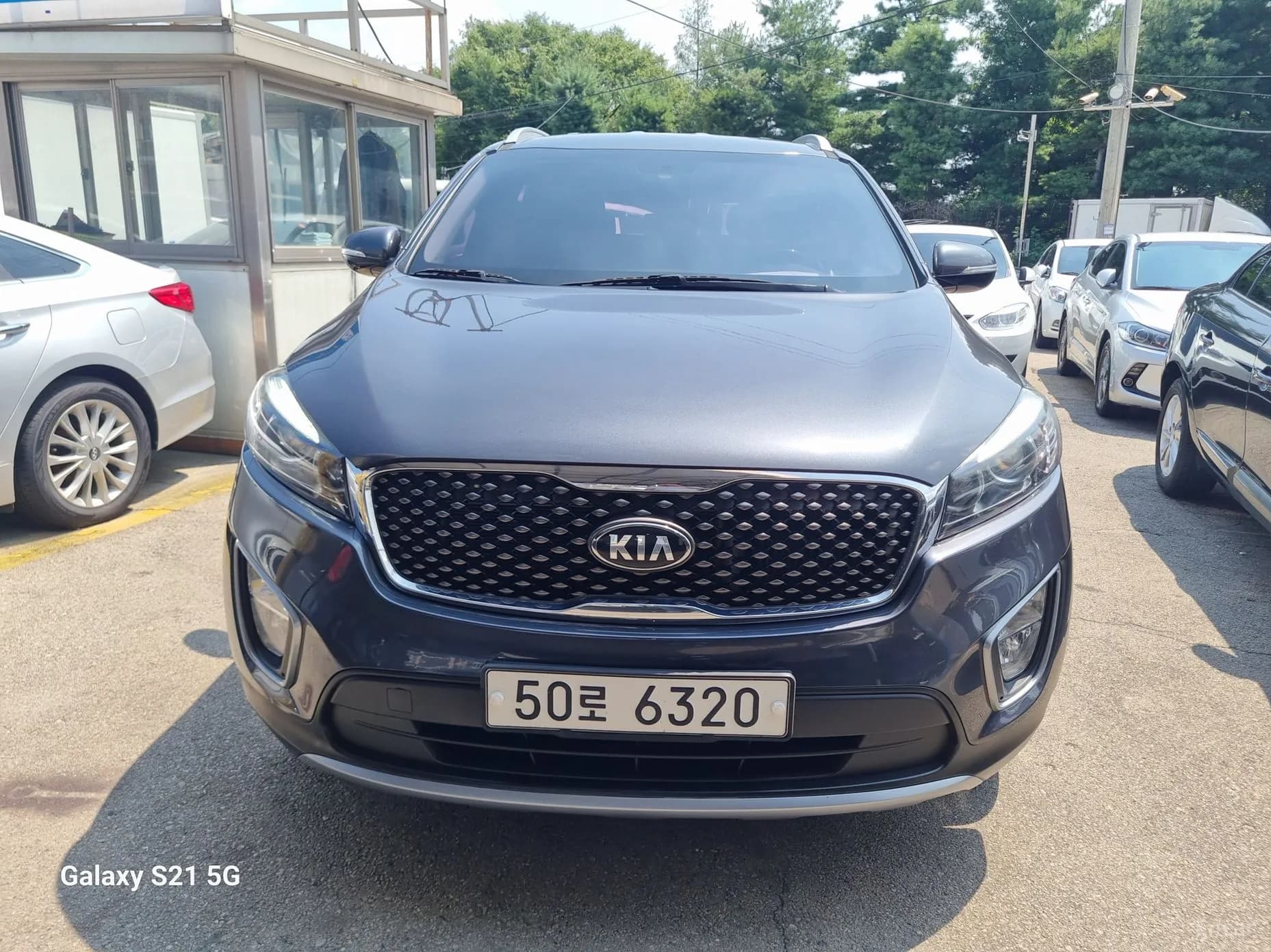 Sorento