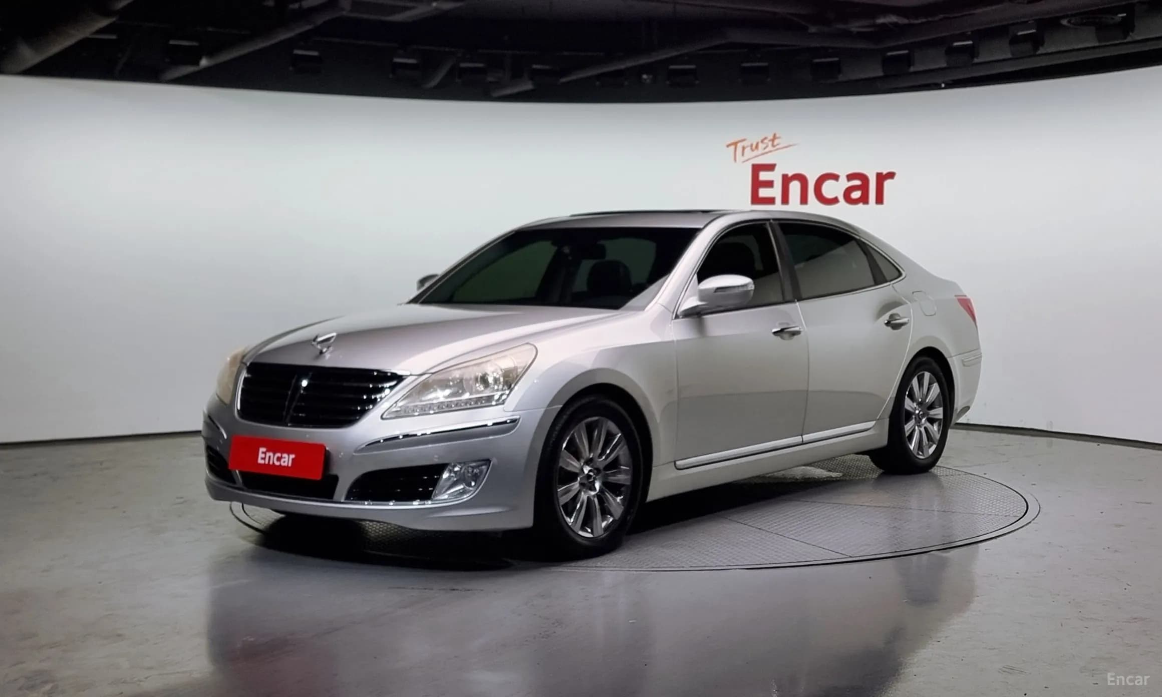 Equus (new)