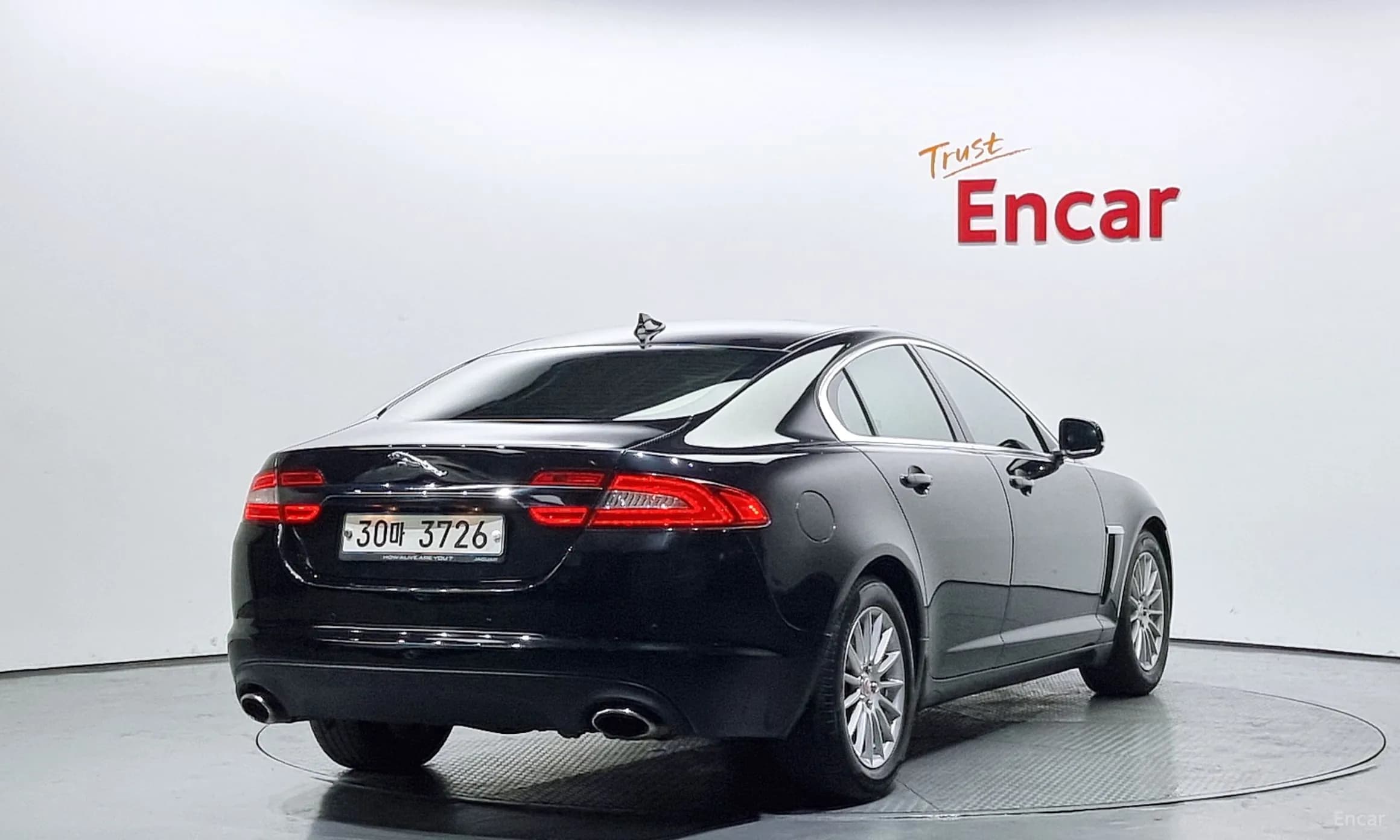 New XF