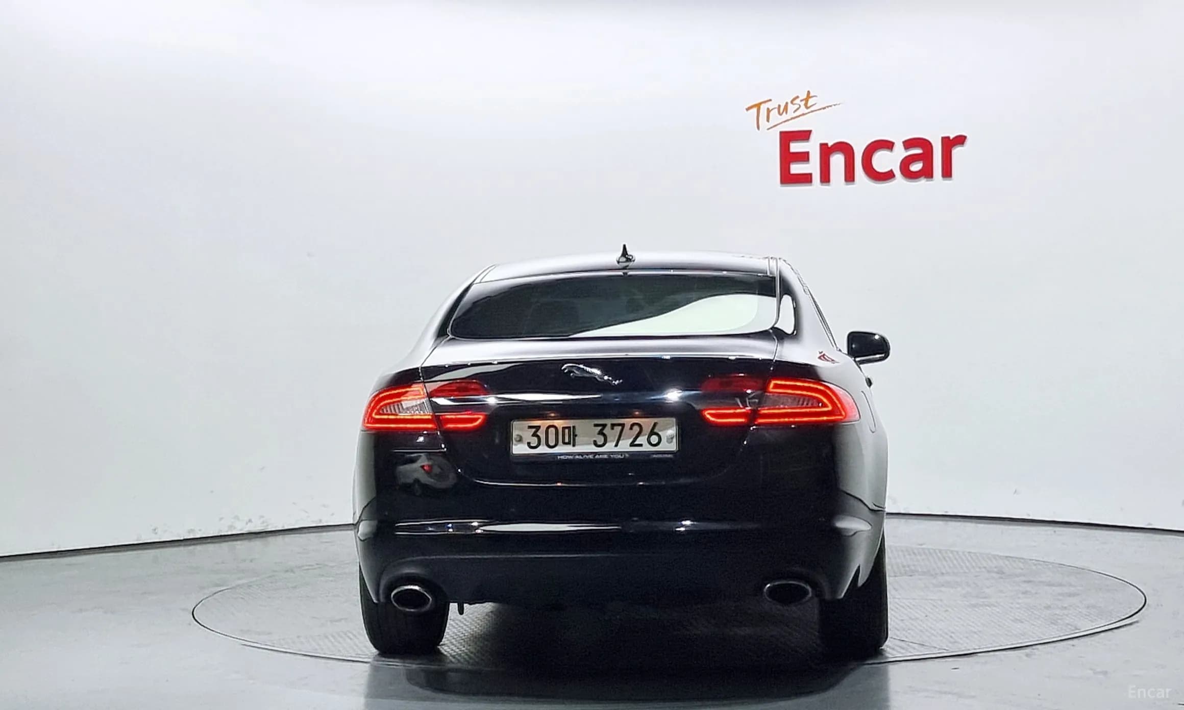 New XF