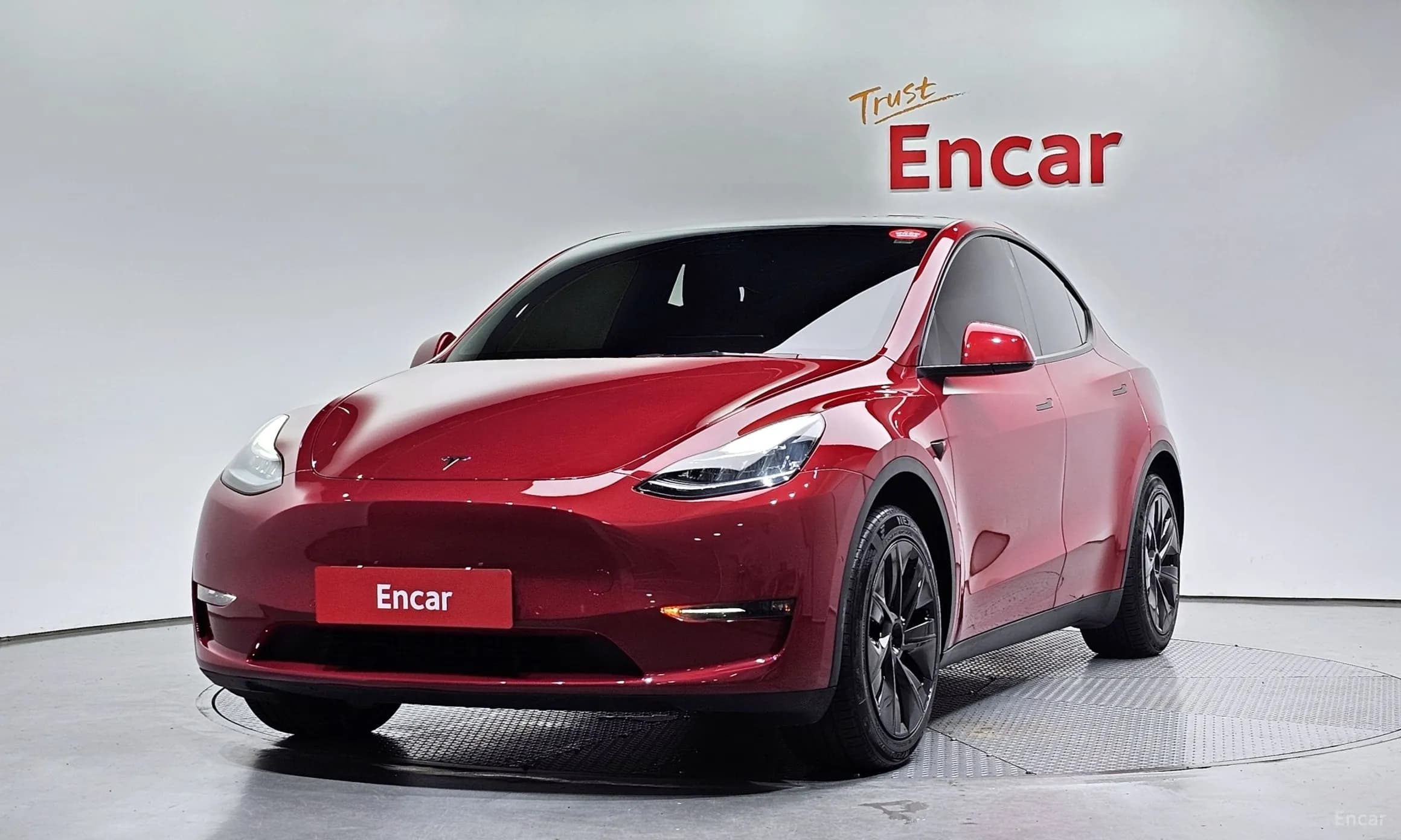 Model Y