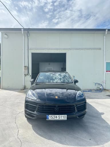 Cayenne (PO536)
