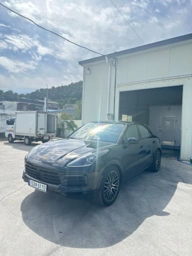 Cayenne (PO536)