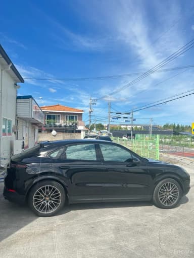 Cayenne (PO536)
