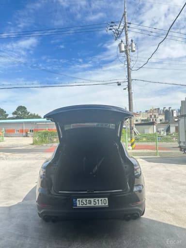 Cayenne (PO536)