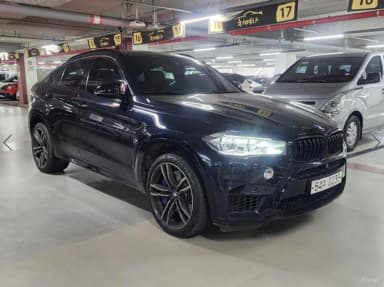 X6M (F16)