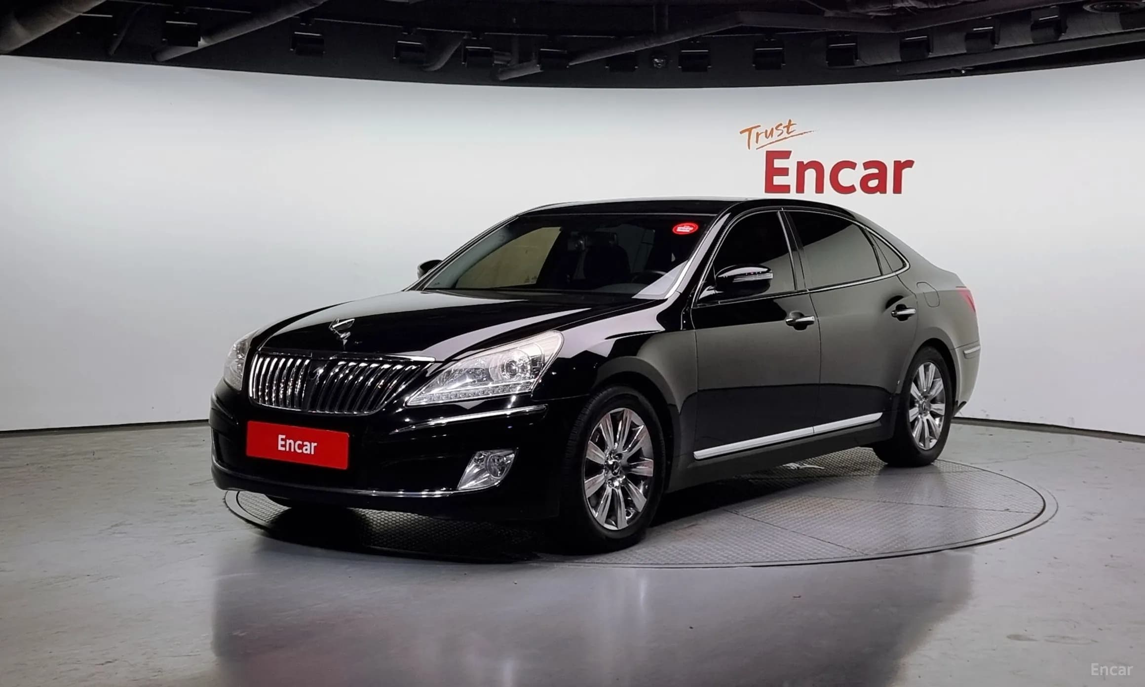 Equus (new)