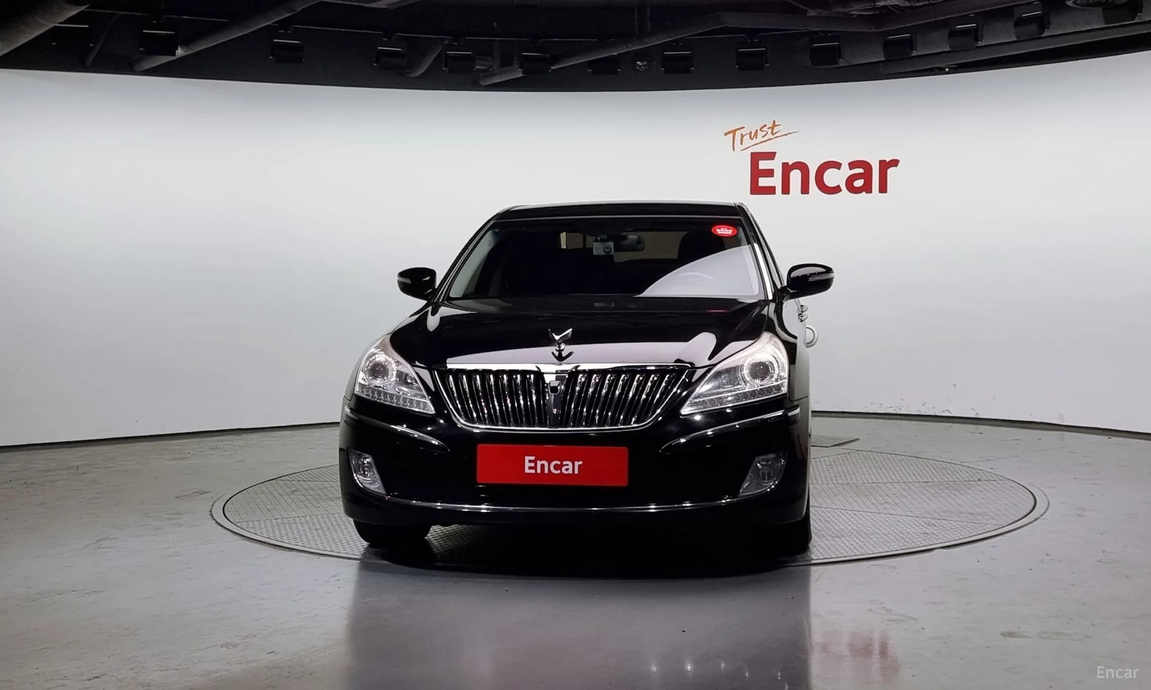Equus (new)